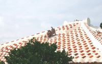 d0098941_1924100.jpg