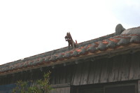 d0098941_1934352.jpg