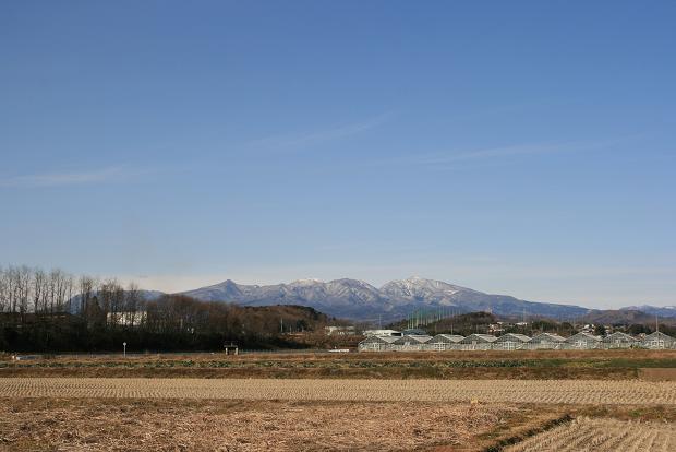 e0007544_03433.jpg