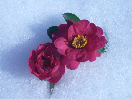 c0122445_16134774.jpg