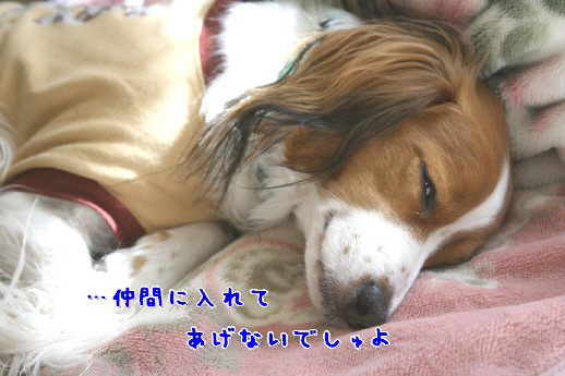 d0013149_10592919.jpg