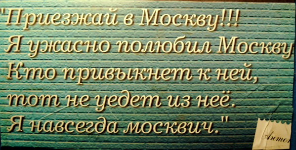 a0087352_6144210.jpg