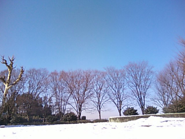 b0102152_23524577.jpg