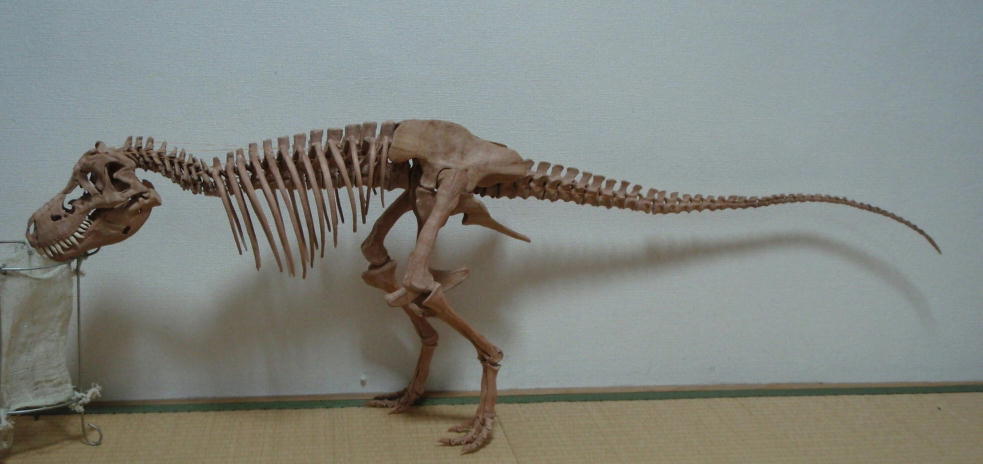 e0064457_21571331.jpg
