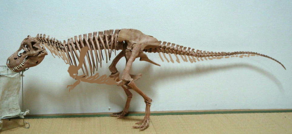 e0064457_21572275.jpg