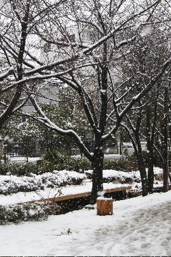 e0016164_734980.jpg