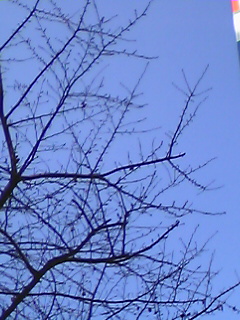 c0069766_1071324.jpg