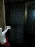 d0109373_03013100.jpg