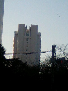 f0066076_22472312.jpg