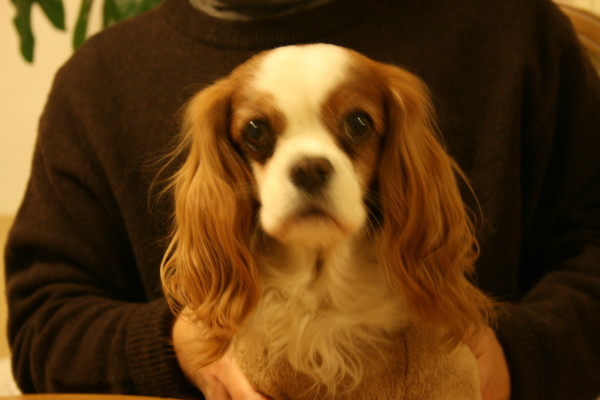 e0114977_10533392.jpg