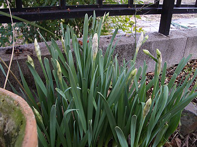 c0045882_23113671.jpg
