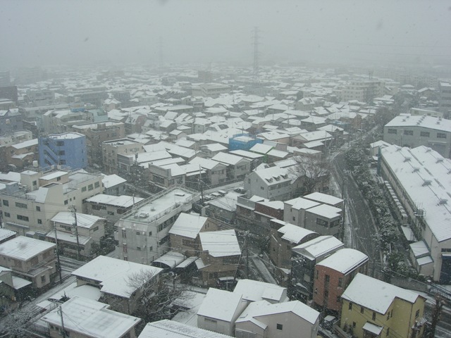 a0045688_0121630.jpg