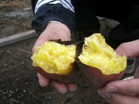 c0137591_22144447.jpg