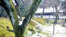 a0079292_1044034.jpg