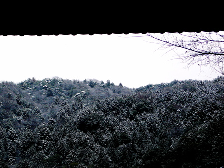 a0079292_9405296.jpg