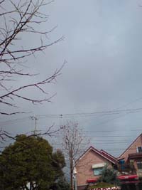 f0101592_9553634.jpg