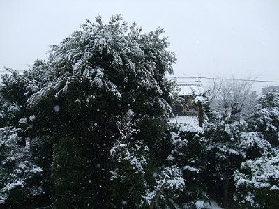 f0153998_0565498.jpg