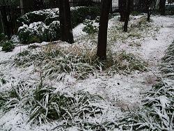 f0153998_7191637.jpg
