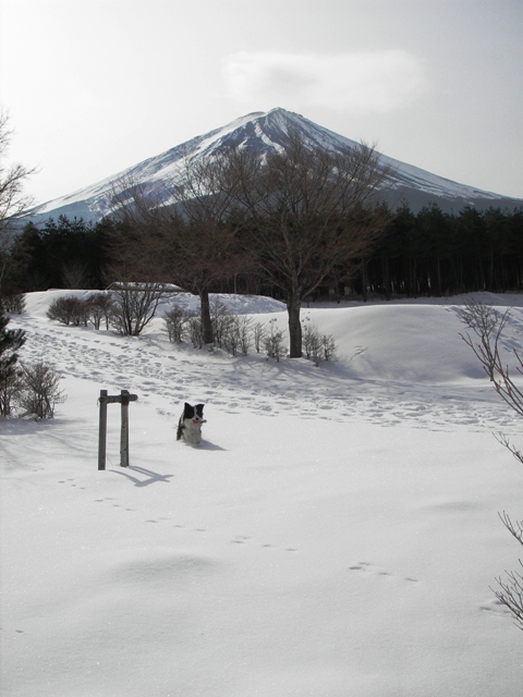 f0034602_2015892.jpg