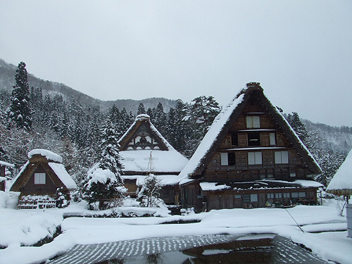 e0015006_7355569.jpg