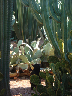 d0126508_20231895.jpg