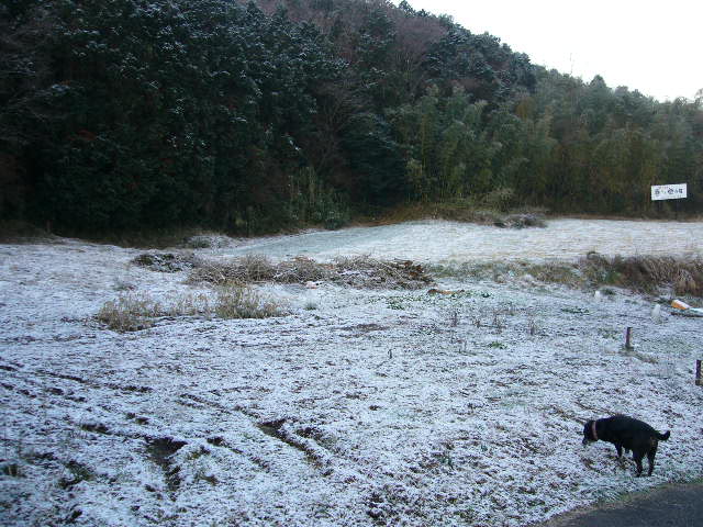 e0015108_2385415.jpg