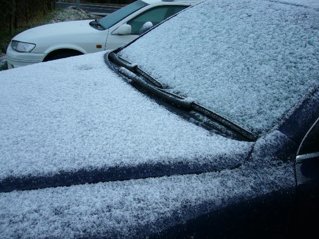 e0015108_246742.jpg