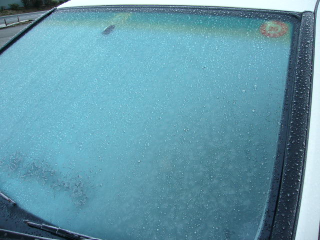 e0015108_2535718.jpg