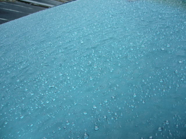 e0015108_2541987.jpg