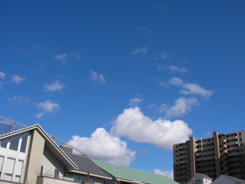 f0054610_17295342.jpg