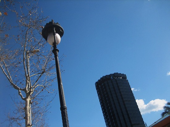 b0064411_518949.jpg
