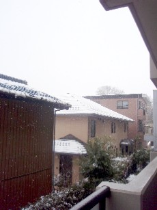 f0043911_2105533.jpg