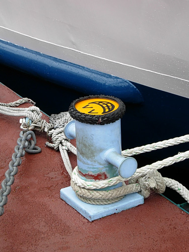 f0078132_5434299.jpg
