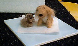 f0039934_15131165.jpg