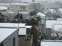 d0143739_0133751.jpg
