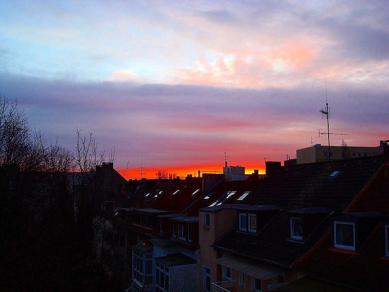 c0153740_20254286.jpg