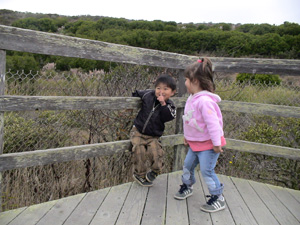 e0057740_46553.jpg
