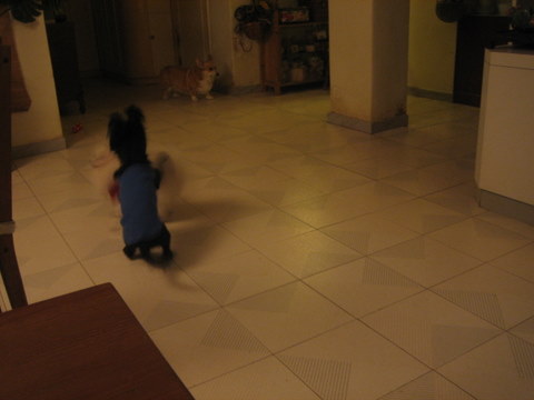 e0018143_1391767.jpg
