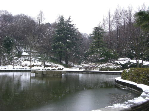 f0094843_1475366.jpg