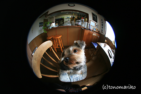 c0024345_0424744.jpg