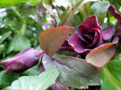 c0147952_22215568.jpg