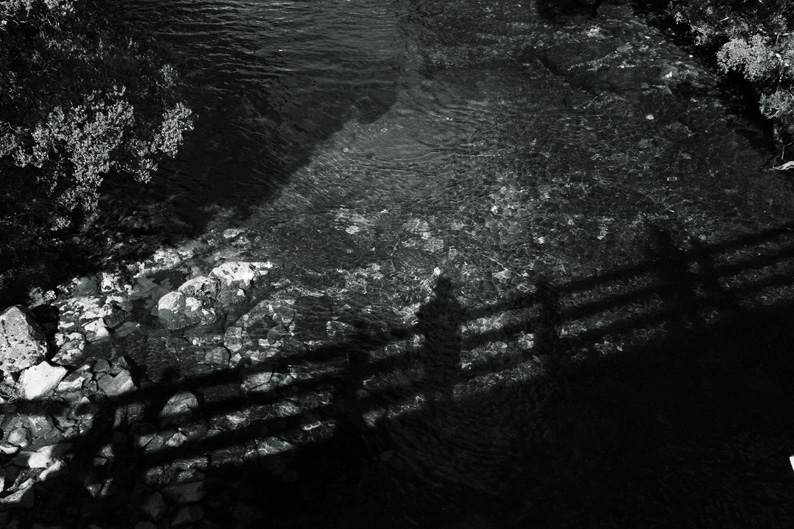 f0137354_19284453.jpg