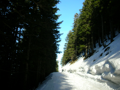 a0073357_19184098.jpg