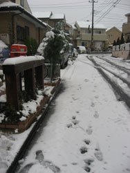 f0082772_9224718.jpg