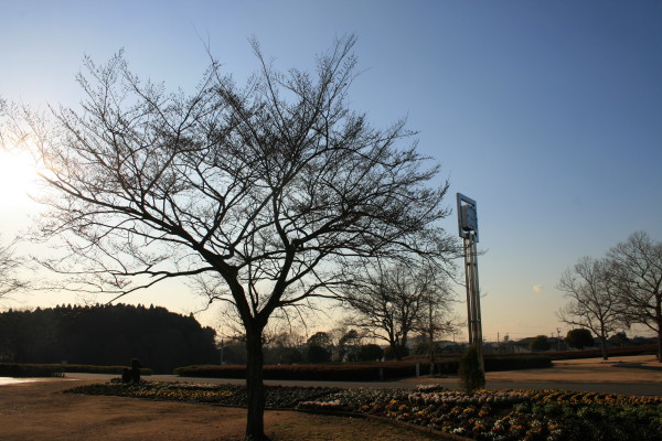 e0114977_17131150.jpg