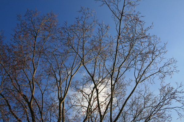 e0114977_17153553.jpg