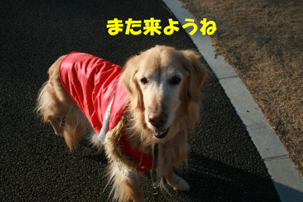 e0114977_1723337.jpg