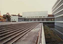 e0066586_73145.jpg