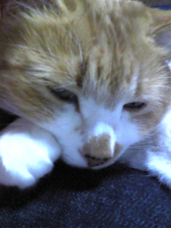 b0053091_2354017.jpg