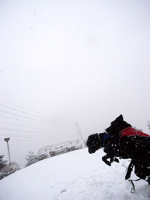 a0093592_2336976.jpg